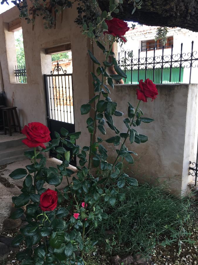 منزل الضيف Saldana de Ayllon  في La Casa Del Cartero Pablo المظهر الخارجي الصورة